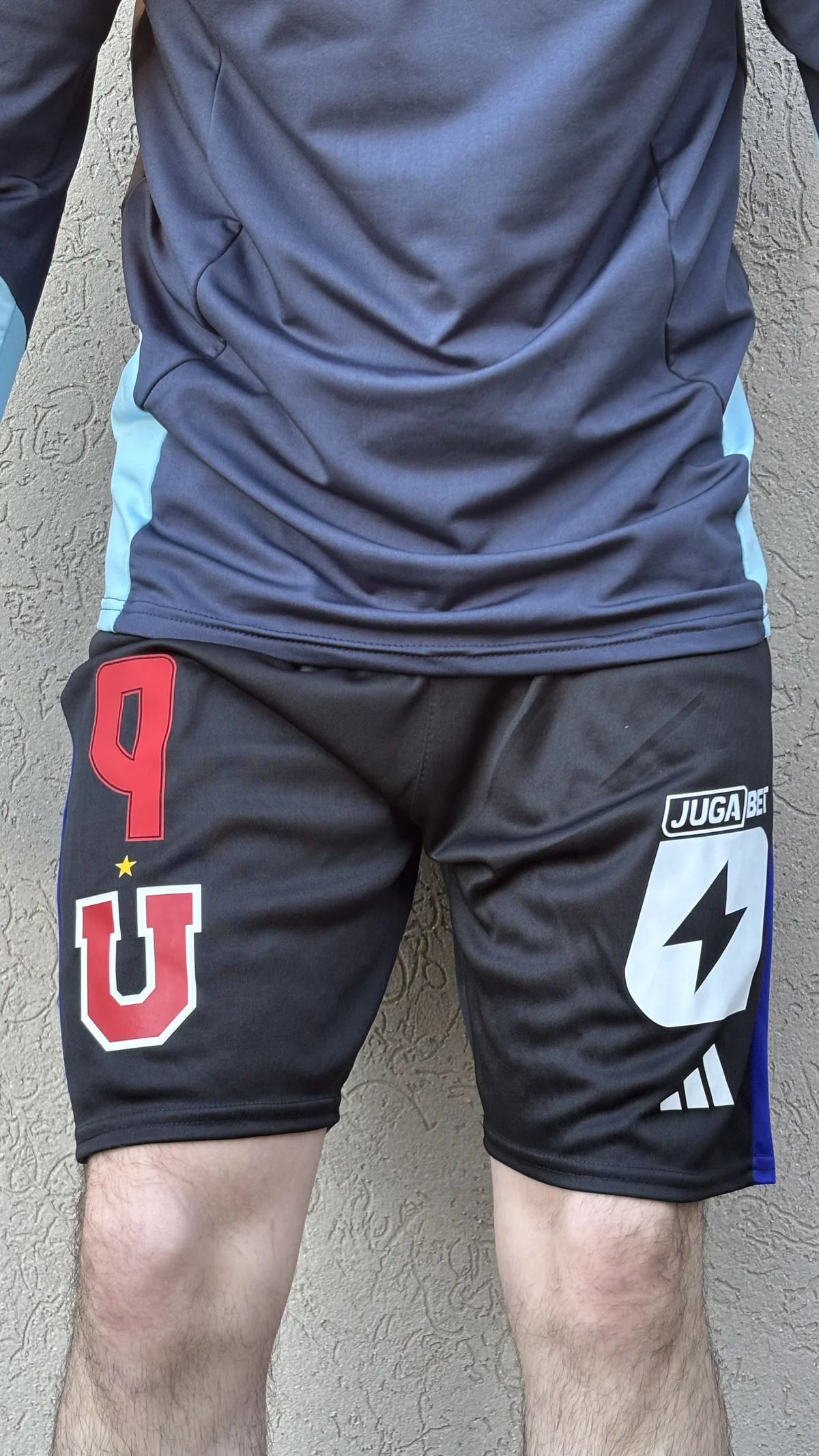 U de Chile